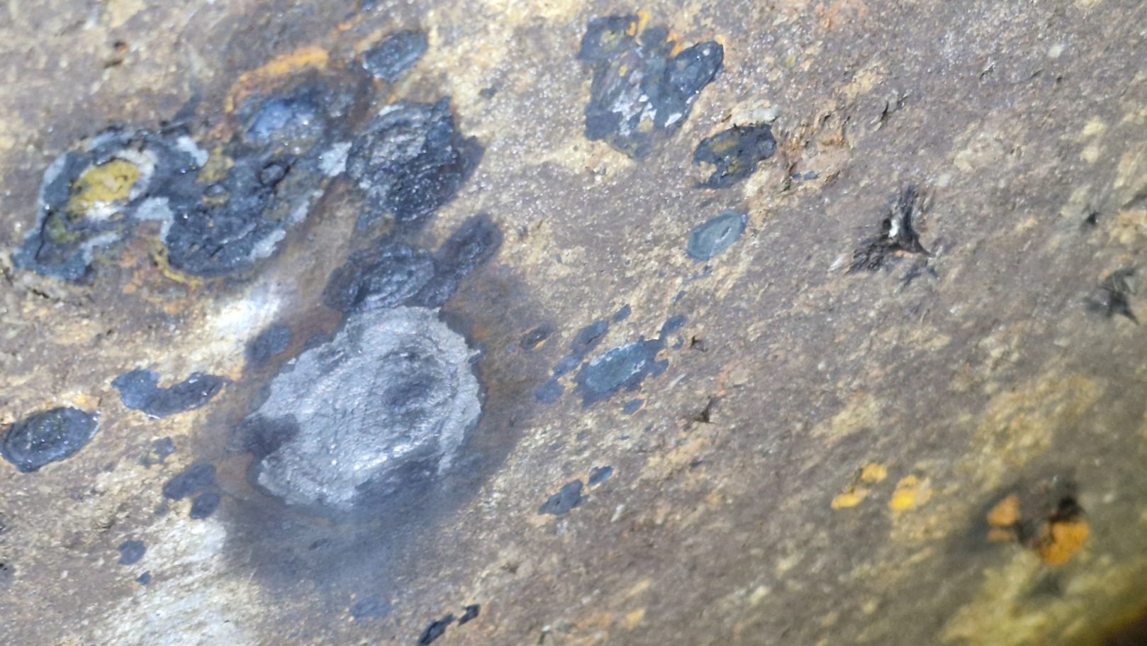 Microbiological base plate corrosion